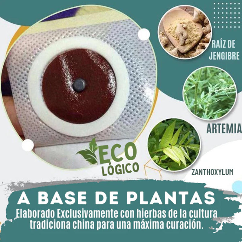 🎉 2 paquetes de Parches adelgazantes SLIM PATCH™ por el precio de 1🎉
