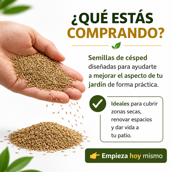 Semillas de Césped Premium Resellables