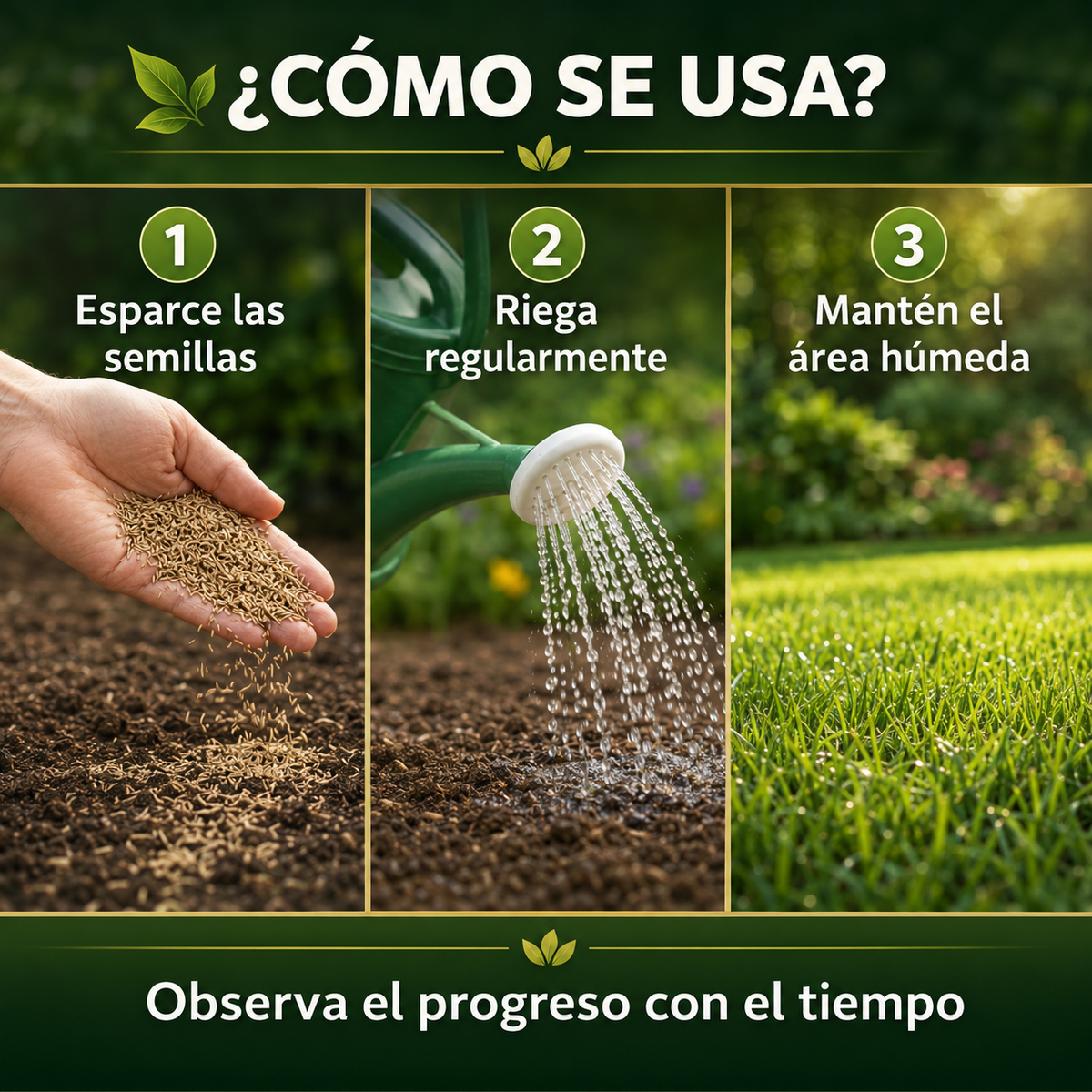 Semillas de Césped Premium Resellables