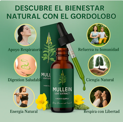MULLEIN™ Limpia tus Pulmones y Respira con Libertad Todos los Días