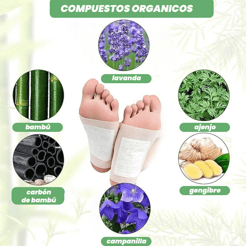 Parches Detox-ITSUKI KENKO ( Desintoxicacion 100% Natural )
