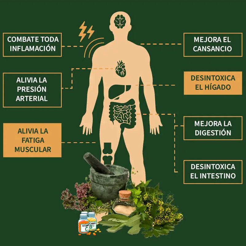 Parches Detox-ITSUKI KENKO ( Desintoxicacion 100% Natural )