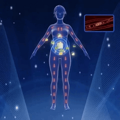 🎉 2 paquetes de  Parches adelgazantes SLIM PATCH™ por el precio de 1🎉